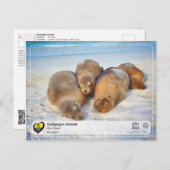 UNESCO WHS - Galápagos Islands - Zee Lions Briefkaart (Voorkant / Achterkant)