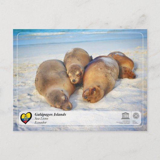UNESCO WHS - Galápagos Islands - Zee Lions Briefkaart (Voorkant)