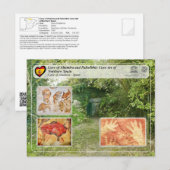 UNESCO WHS - Grot van Altamira / Cueva de Altamira Briefkaart (Voorkant / Achterkant)