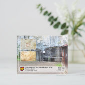 UNESCO WHS - Grot van El Pindal / Cueva del Pindal Briefkaart (Staand voorkant)