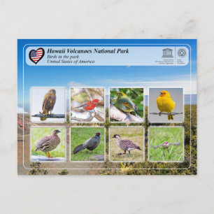 UNESCO WHS - Hawaii Volcanoes NP - vogels Briefkaart