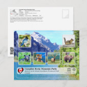 UNESCO WHS - Mount Assiniboine Provincial Park Briefkaart (Voorkant / Achterkant)
