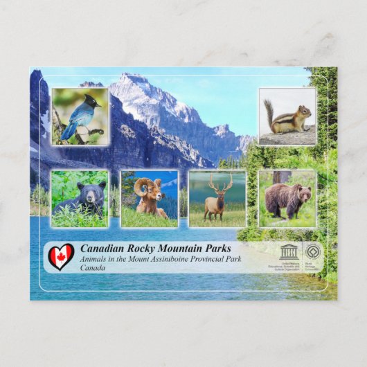 UNESCO WHS - Mount Assiniboine Provincial Park Briefkaart (Voorkant)