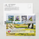 UNESCO WHS - Nationaal Park Banff Briefkaart (Voorkant / Achterkant)
