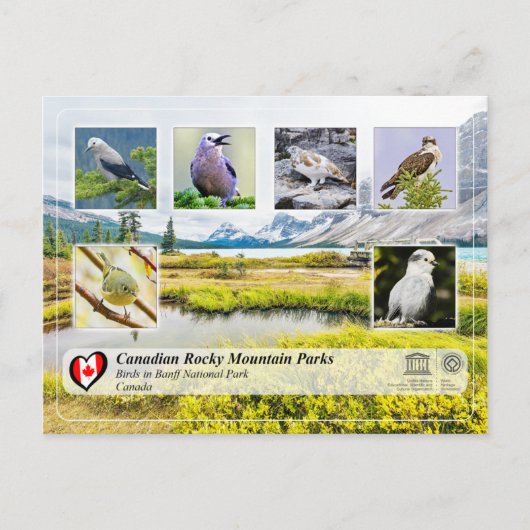 UNESCO WHS - Nationaal Park Banff Briefkaart (Voorkant)