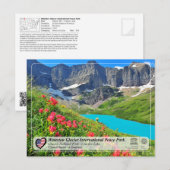 UNESCO WHS - Nationaal Park Glacier Briefkaart (Voorkant / Achterkant)