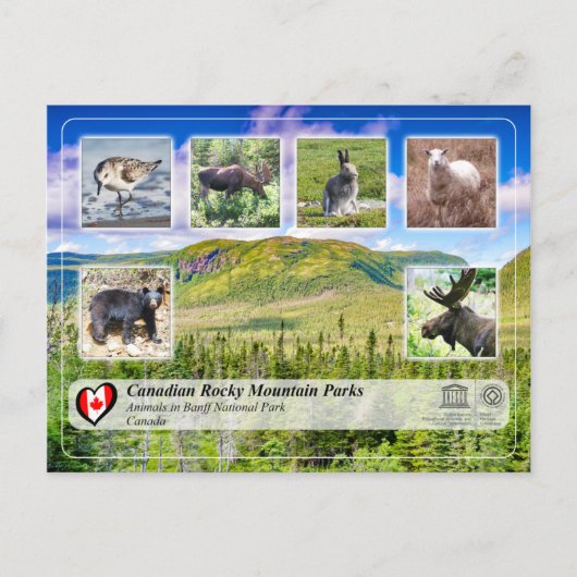 UNESCO WHS - Nationaal park Gros Morne Briefkaart (Voorkant)