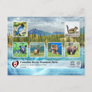UNESCO WHS - Nationaal Park Jasper Briefkaart