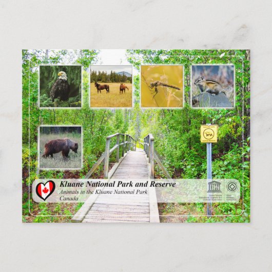 UNESCO WHS - Nationaal park Kluane en reserve Briefkaart (Voorkant)