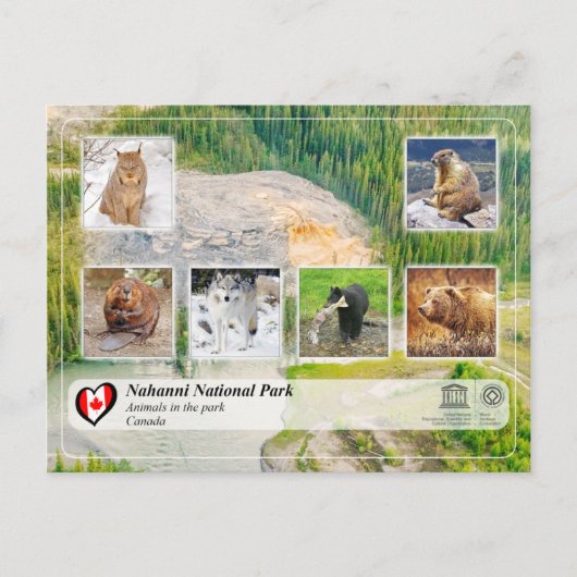 UNESCO WHS - Nationaal Park Nahanni Briefkaart (Voorkant)