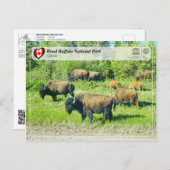 UNESCO WHS - Nationaal park van de houtsbuffalo Briefkaart (Voorkant / Achterkant)