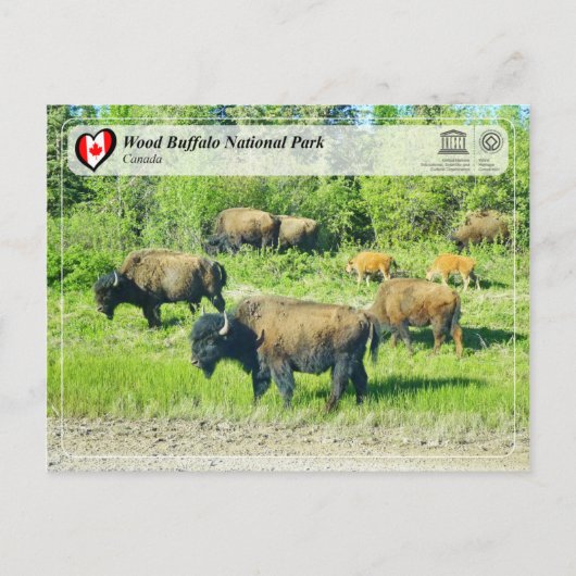 UNESCO WHS - Nationaal park van de houtsbuffalo Briefkaart (Voorkant)