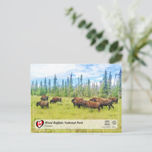 UNESCO WHS - Nationaal park van de houtsbuffalo Briefkaart (Staand voorkant)