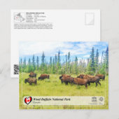 UNESCO WHS - Nationaal park van de houtsbuffalo Briefkaart (Voorkant / Achterkant)