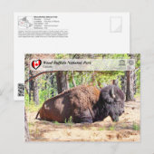 UNESCO WHS - Nationaal park van de houtsbuffalo Briefkaart (Voorkant / Achterkant)