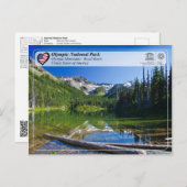 UNESCO WHS - Olympisch Nationaal Park - Koninklijk Briefkaart (Voorkant / Achterkant)