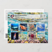 UNESCO WHS - Papahānaumokuākea - Marine Life Briefkaart (Voorkant / Achterkant)