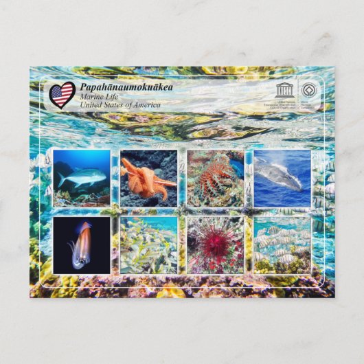 UNESCO WHS - Papahānaumokuākea - Marine Life Briefkaart (Voorkant)