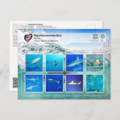 UNESCO WHS - Papahānaumokuākea - Sharks Briefkaart (Voorkant / Achterkant)