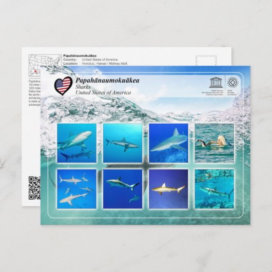 UNESCO WHS - Papahānaumokuākea - Sharks Briefkaart (Voorkant / Achterkant)