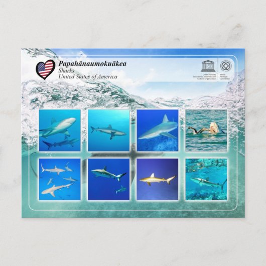 UNESCO WHS - Papahānaumokuākea - Sharks Briefkaart (Voorkant)