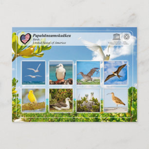 UNESCO WHS - Papahānaumokuākea - vogels Briefkaart