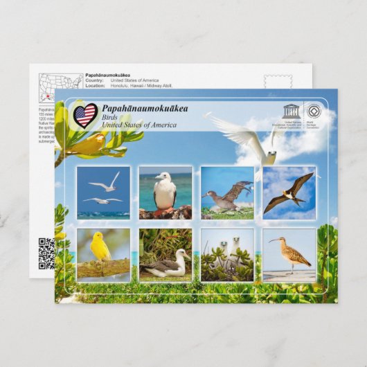 UNESCO WHS - Papahānaumokuākea - vogels Briefkaart (Voorkant / Achterkant)