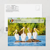 UNESCO WHS - Pelikanen in de Donaudelta Briefkaart (Voorkant / Achterkant)