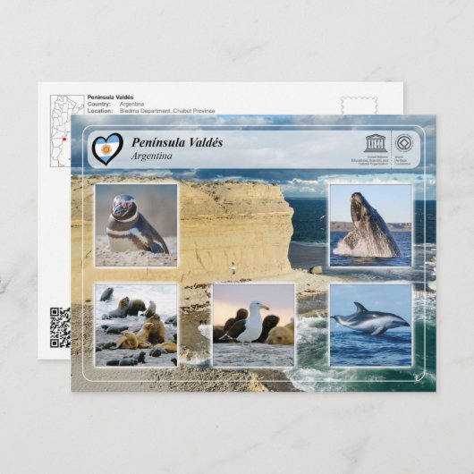 UNESCO WHS - Península Valdés Briefkaart (Voorkant / Achterkant)