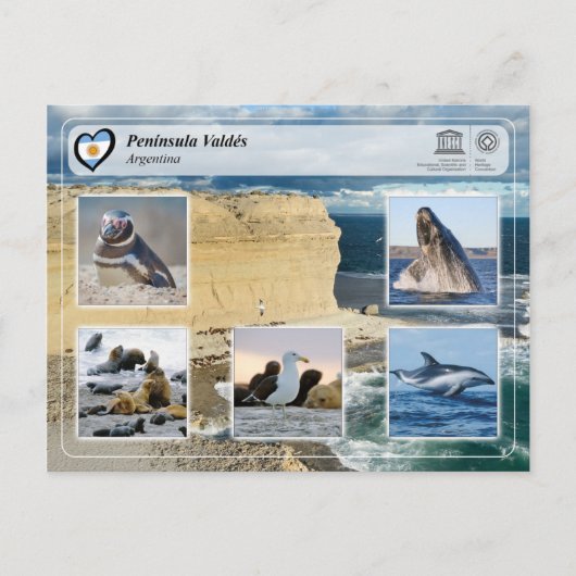 UNESCO WHS - Península Valdés Briefkaart (Voorkant)