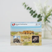 UNESCO WHS - Provinciepark Dinosaur Briefkaart (Staand voorkant)