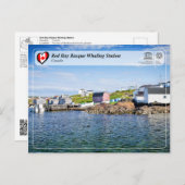 UNESCO WHS - Red Bay Basque Whaling Station Briefkaart (Voorkant / Achterkant)