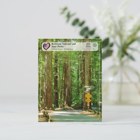 UNESCO WHS - Redwood National and State Parks Briefkaart (Staand voorkant)