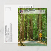 UNESCO WHS - Redwood National and State Parks Briefkaart (Voorkant / Achterkant)