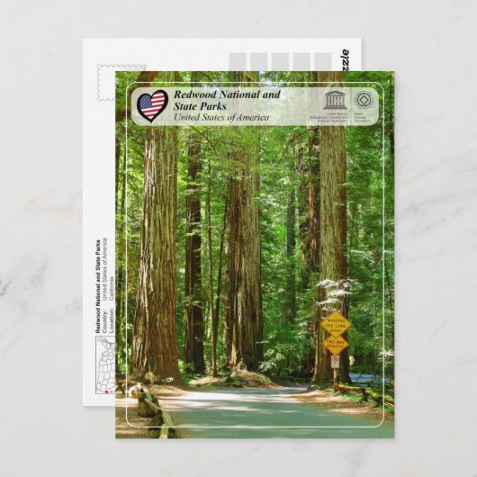 UNESCO WHS - Redwood National and State Parks Briefkaart (Voorkant / Achterkant)