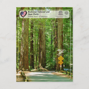 UNESCO WHS - Redwood National and State Parks Briefkaart