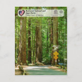 UNESCO WHS - Redwood National and State Parks Briefkaart (Voorkant)