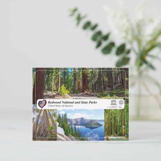 UNESCO WHS - Redwood National and State Parks Briefkaart (Staand voorkant)
