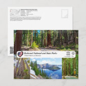 UNESCO WHS - Redwood National and State Parks Briefkaart (Voorkant / Achterkant)