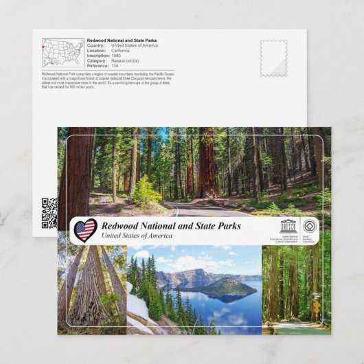 UNESCO WHS - Redwood National and State Parks Briefkaart (Voorkant / Achterkant)