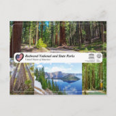 UNESCO WHS - Redwood National and State Parks Briefkaart (Voorkant)