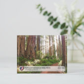 UNESCO WHS - Redwood National and State Parks Briefkaart (Staand voorkant)