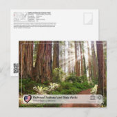 UNESCO WHS - Redwood National and State Parks Briefkaart (Voorkant / Achterkant)