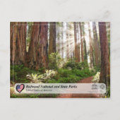 UNESCO WHS - Redwood National and State Parks Briefkaart (Voorkant)