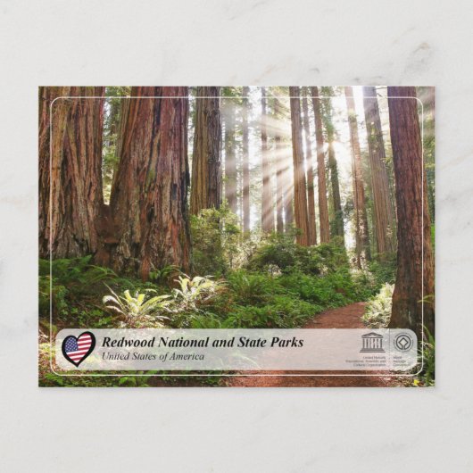 UNESCO WHS - Redwood National and State Parks Briefkaart (Voorkant)
