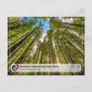 UNESCO WHS - Redwood National and State Parks Briefkaart