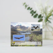 UNESCO WHS - Sangay National Park - Andean Condor Briefkaart (Staand voorkant)