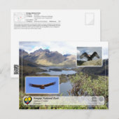 UNESCO WHS - Sangay National Park - Andean Condor Briefkaart (Voorkant / Achterkant)