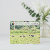 UNESCO WHS - Sangha Trinational - Lobéké Briefkaart (Staand voorkant)