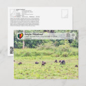 UNESCO WHS - Sangha Trinational - Lobéké Briefkaart (Voorkant / Achterkant)